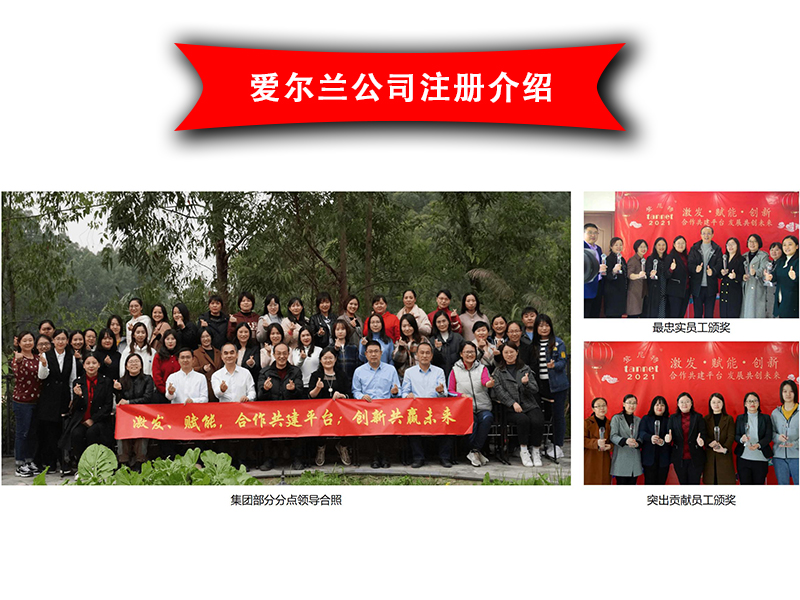 愛爾蘭公司注冊介紹